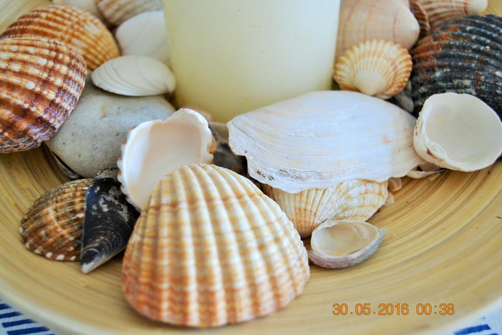 Appartement Playa *
